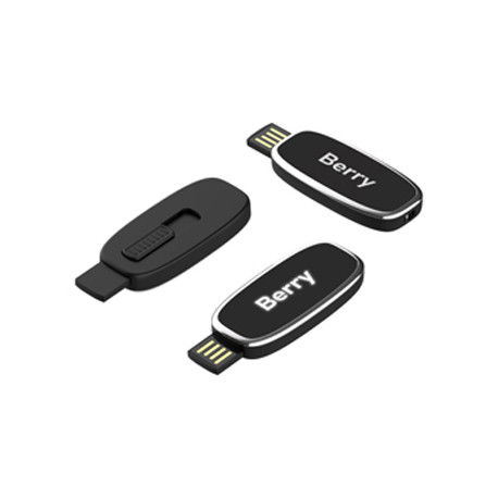 Berry LED Flash Drive 4GB - 64GB (USB2.0)