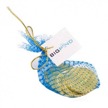 6 Chocolate Coins Packed in A Mesh Bag