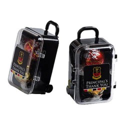 2 Lindt Balls Packed in Carry-On Case