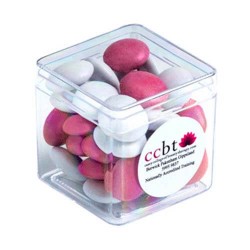 40g Chocolate Beans Packed in Hard Cubes